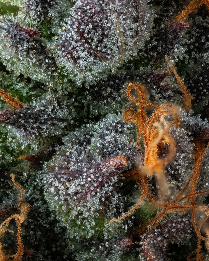 Strawberry Skrilla, Фасовка: 3, изображение 5